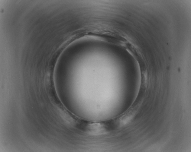 X0000081400269200701111550