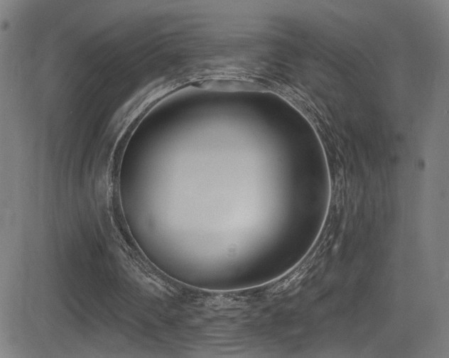 X0000081400290200701111550