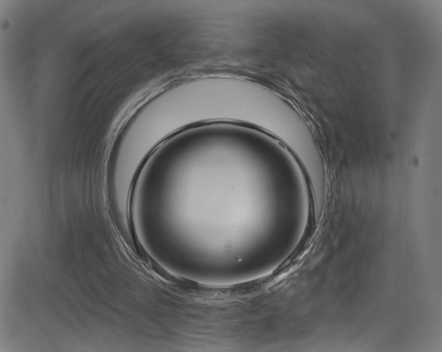 X0000081400293200701111550