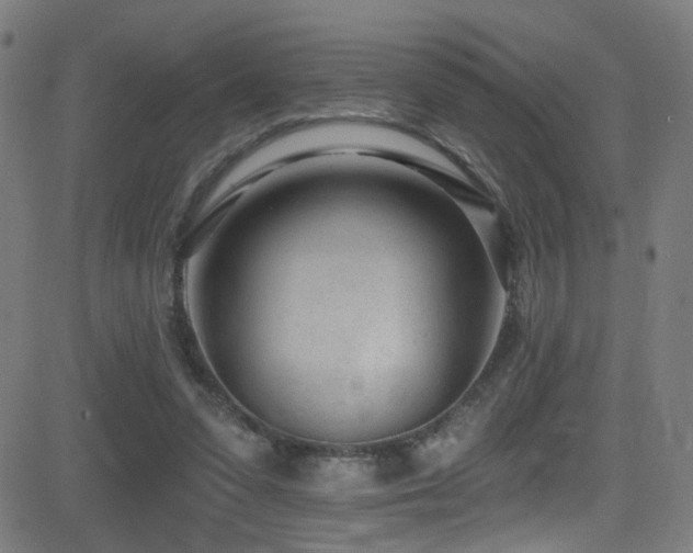 X0000081400303200701111550