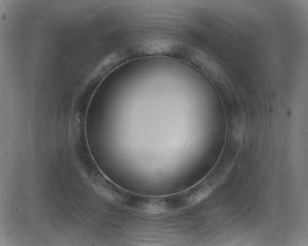 X0000081400308200701111550