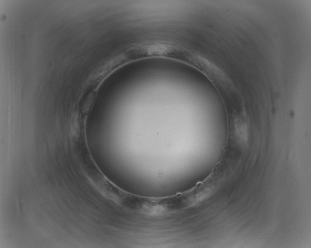 X0000081400311200701111549