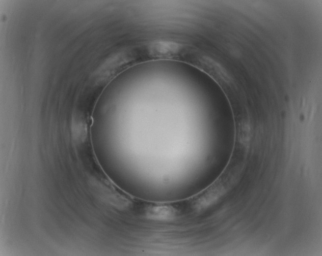X0000081400324200701111549