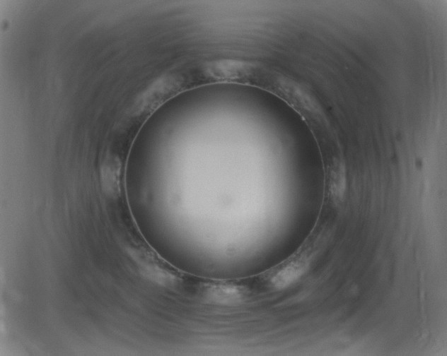 X0000081400332200701111549
