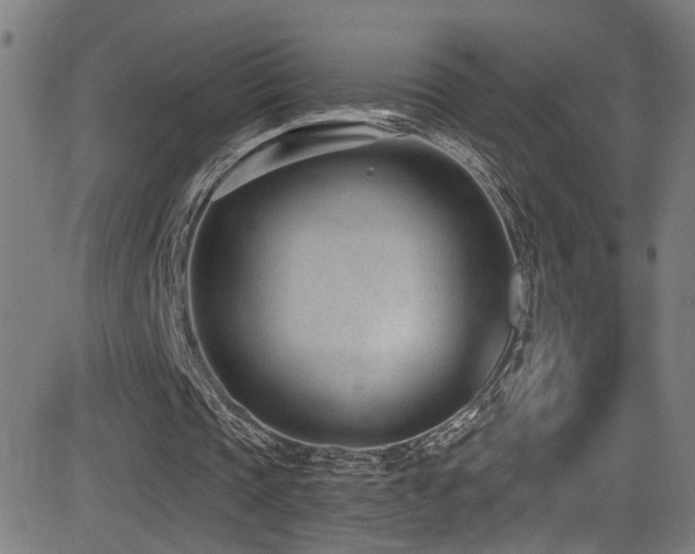 X0000081400337200701111548