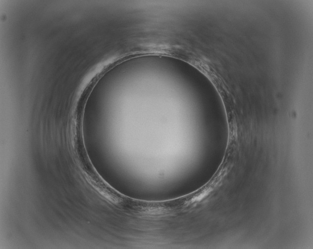X0000081400342200701111548