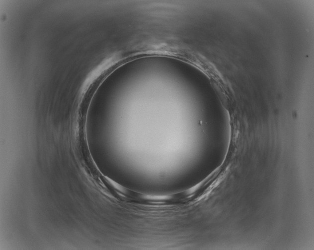X0000081400344200701111548