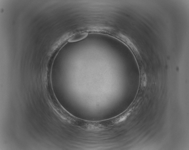 X0000081400346200701111548