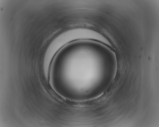 X0000081400356200701111549