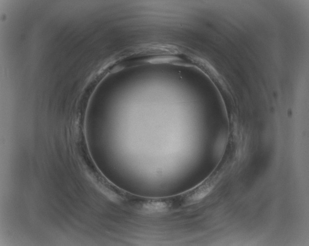 X0000081400357200701111549