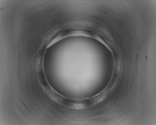X0000081400360200701111549