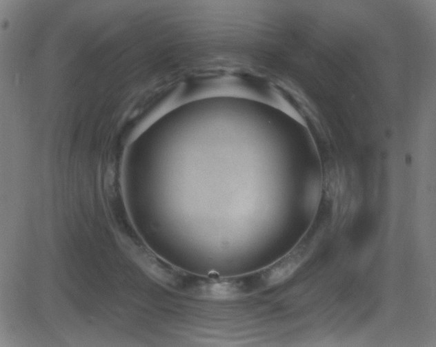 X0000081400365200701111549