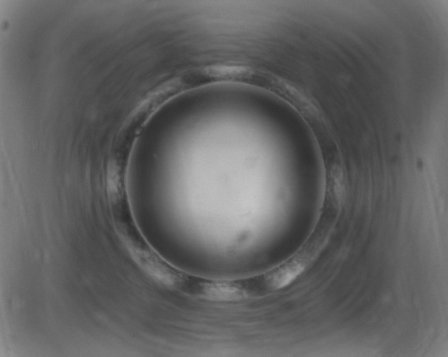 X0000081400380200701111549