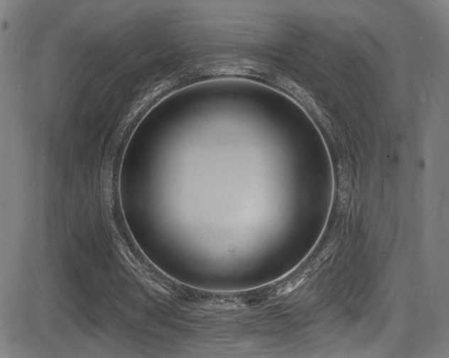 X0000081400386200701111548