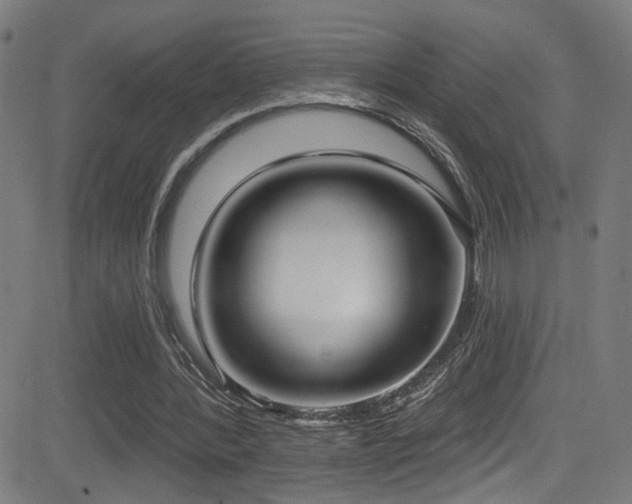 X0000081400388200701111548
