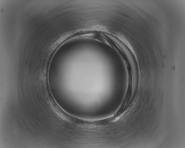 X0000081400389200701111548