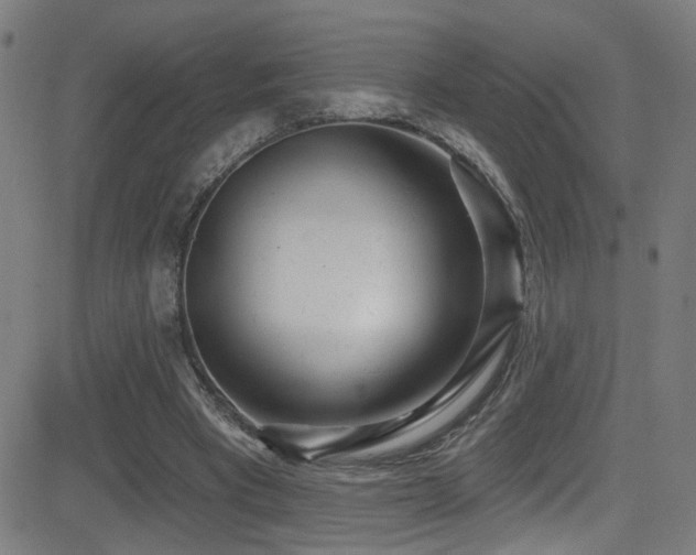 X0000081400393200701111548