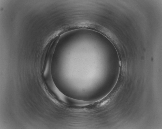 X0000081400397200701111548