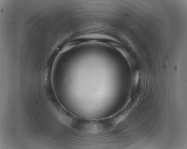 X0000081400404200701111548