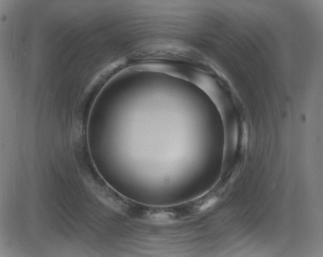 X0000081400407200701111548