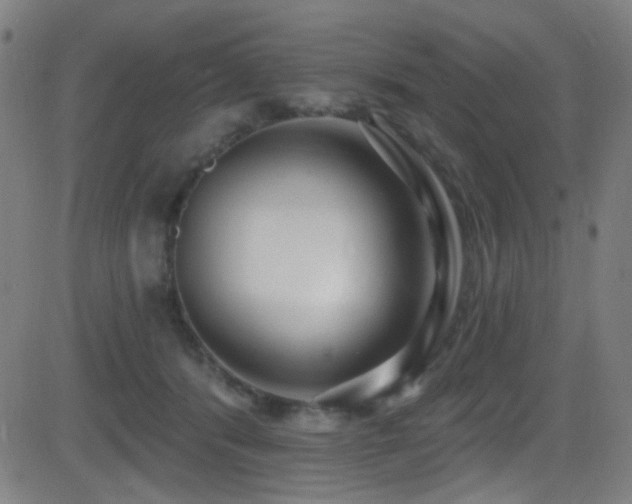 X0000081400416200701111548