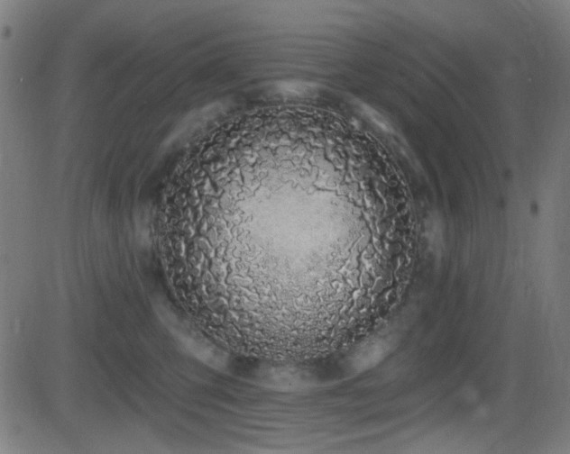 X0000081400423200701111548