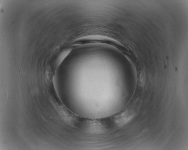X0000081400424200701111548