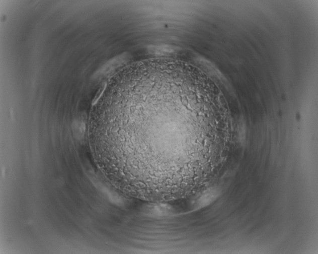 X0000081400427200701111548