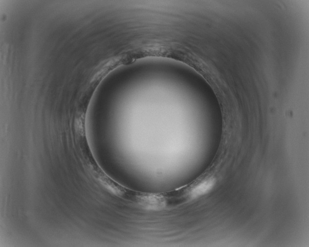 X0000081400432200701111547