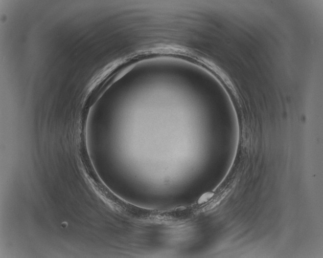 X0000081400437200701111547