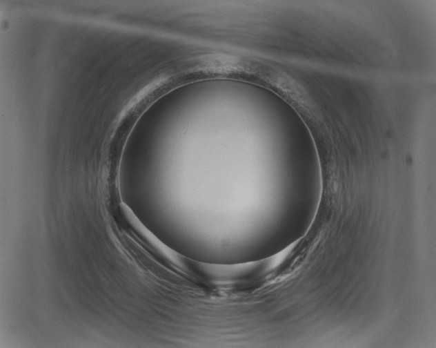 X0000081400440200701111547