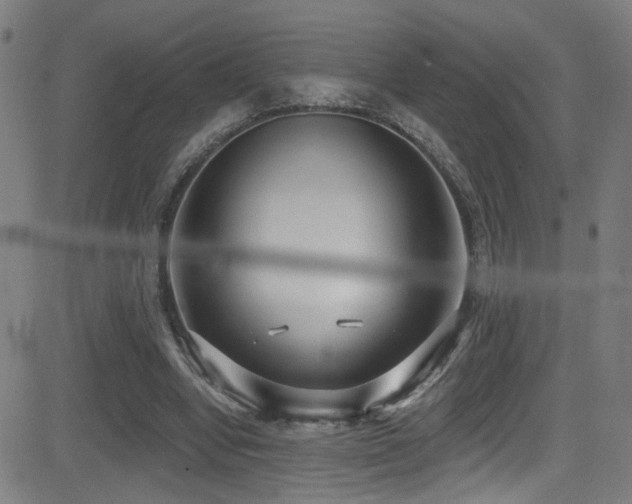 X0000081400442200701111547
