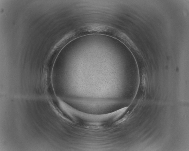 X0000081400444200701111547