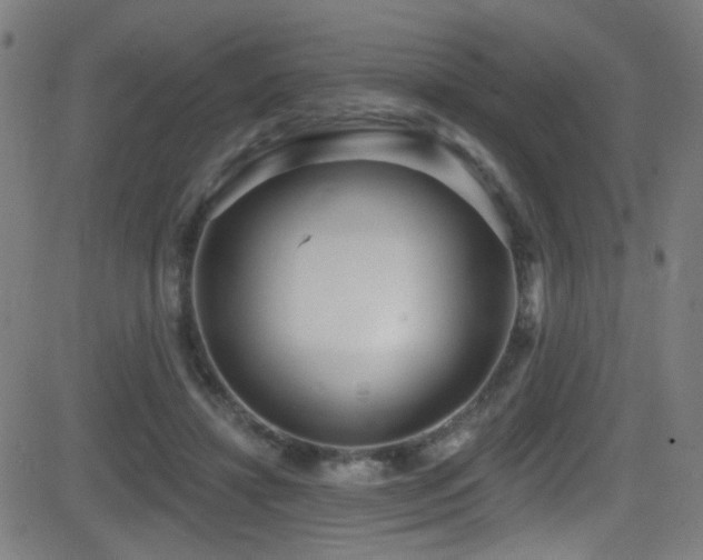 X0000081400452200701111547