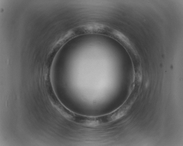 X0000081400458200701111547