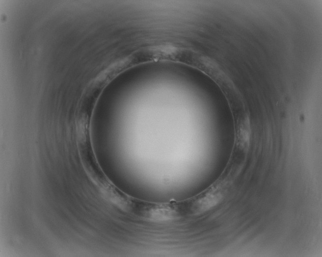 X0000081400468200701111547