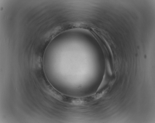 X0000081400470200701111547