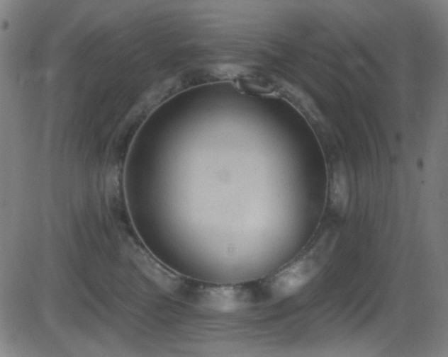 X0000081400473200701111547