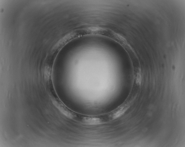 X0000081400476200701111547