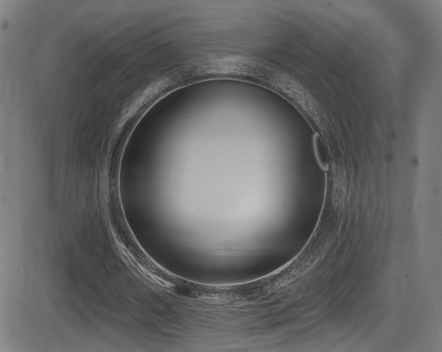 X0000081400482200701111547