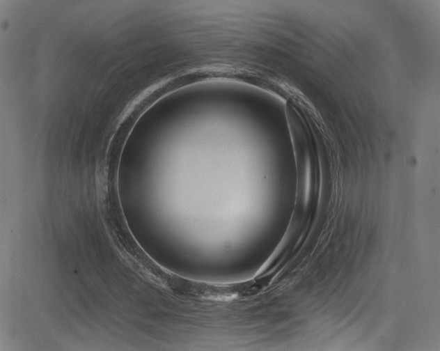X0000081400484200701111547