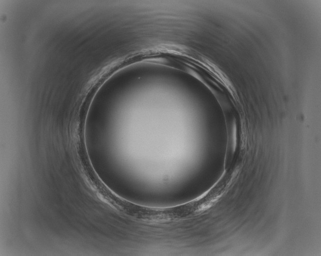 X0000081400485200701111547