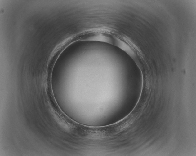 X0000081400486200701111547