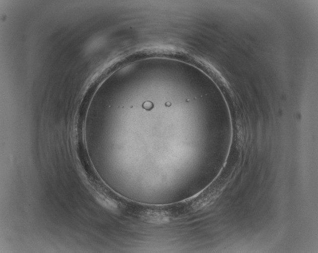 X0000081400487200701111547