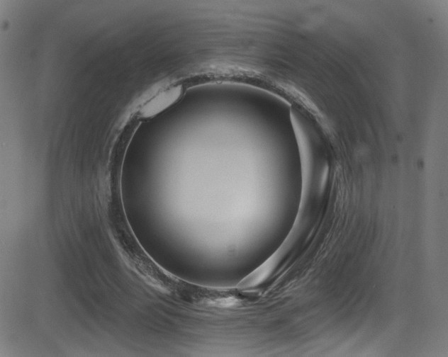 X0000081400488200701111547