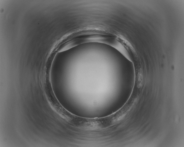 X0000081400492200701111546