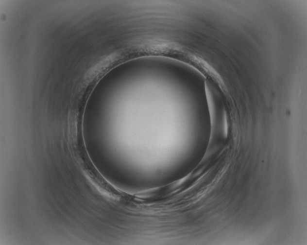 X0000081400493200701111546