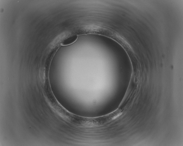 X0000081400494200701111546