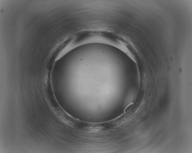 X0000081400495200701111546