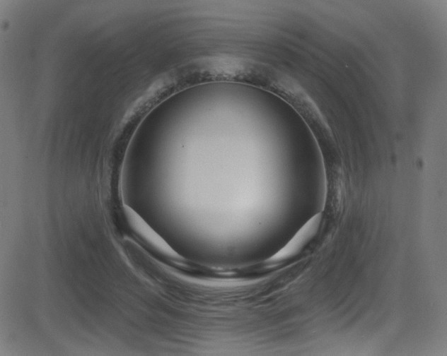 X0000081400496200701111546